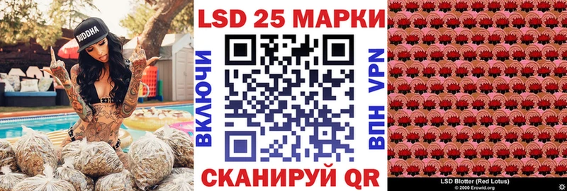 блэк спрут tor  Солигалич  Марки N-bome 1500мкг 